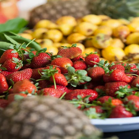 Grand Seker 5* シダ